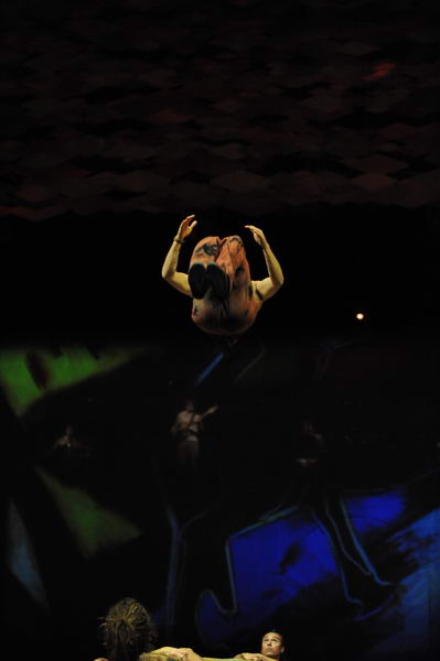 Cavalia-6-8-10-372-DDeRosaPhoto.jpg