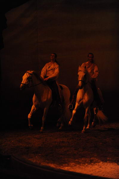 Cavalia-6-8-10-436-DDeRosaPhoto.jpg