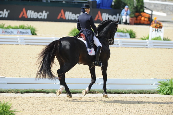 WEG1-9-28-10-DressageGP-6190-TinaKonyot-Calesto-DDeRosaPhoto