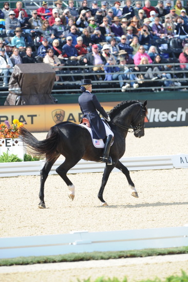 WEG1-9-28-10-DressageGP-6270-TinaKonyot-Calesto-DDeRosaPhoto