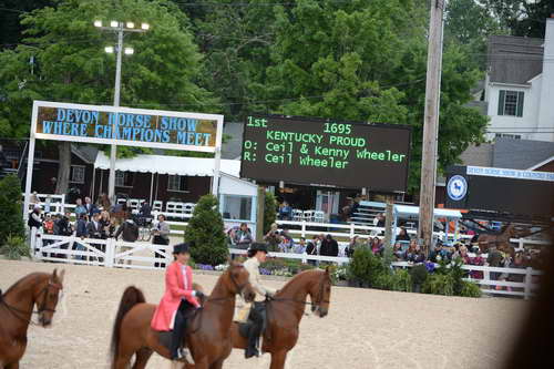 Devon-Saddlebreds-5-29-14-7007-DDeRosaPhoto