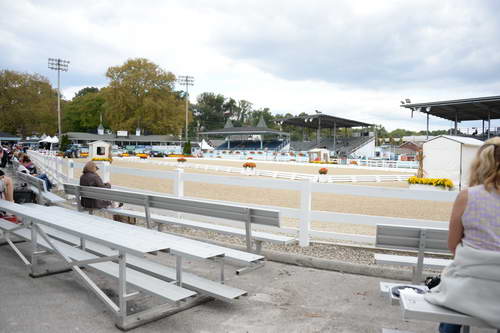 Dressage-at-Devon-9-27-13-4768-DDeRosaPhoto