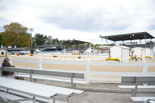 Dressage-at-Devon-9-27-13-4769-DDeRosaPhoto