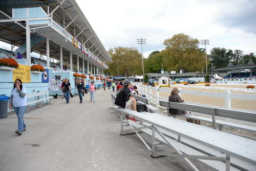 Dressage-at-Devon-9-27-13-4770-DDeRosaPhoto