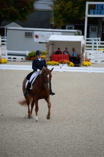 Dressage-at-Devon-9-27-13-4787-DDeRosaPhoto