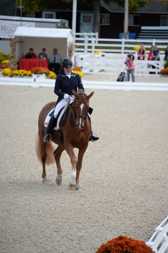 Dressage-at-Devon-9-27-13-4788-DDeRosaPhoto