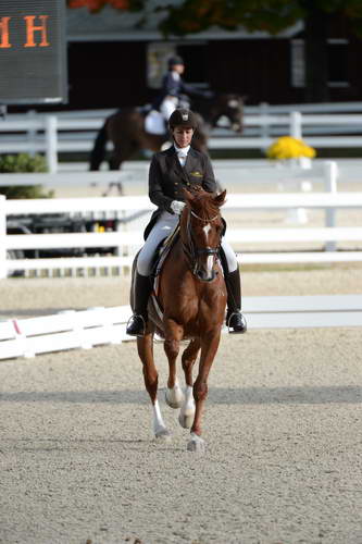 Dressage-at-Devon-9-27-13-4813-DDeRosaPhoto