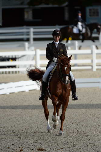 Dressage-at-Devon-9-27-13-4814-DDeRosaPhoto