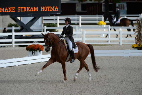 Dressage-at-Devon-9-27-13-4823-DDeRosaPhoto