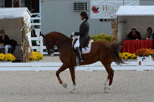 Dressage-at-Devon-9-27-13-4828-DDeRosaPhoto