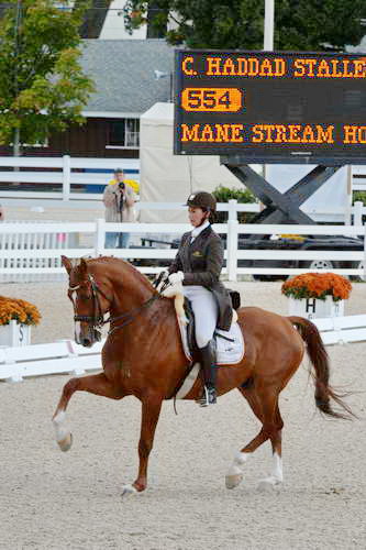 Dressage-at-Devon-9-27-13-4840-DDeRosaPhoto