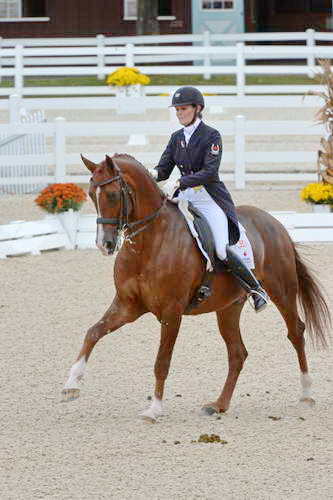 Dressage-at-Devon-9-27-13-4867-DDeRosaPhoto