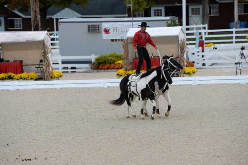 Dressage-at-Devon-9-27-13-4997-DDeRosaPhoto