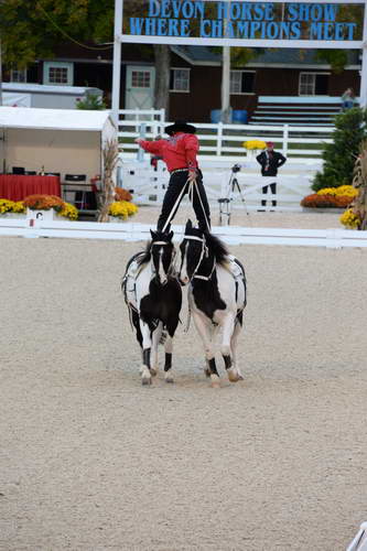 Dressage-at-Devon-9-27-13-5002-DDeRosaPhoto