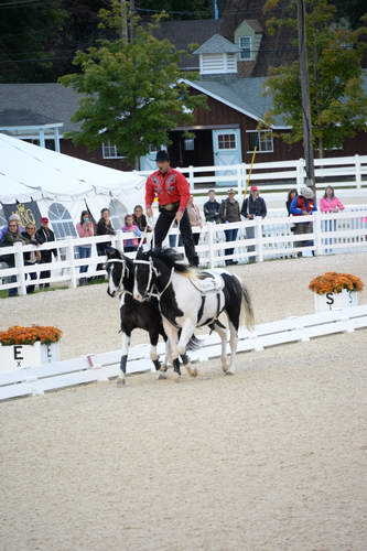 Dressage-at-Devon-9-27-13-5009-DDeRosaPhoto