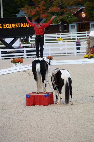 Dressage-at-Devon-9-27-13-5011-DDeRosaPhoto