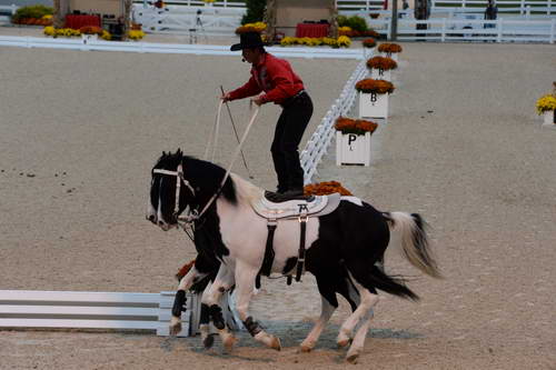 Dressage-at-Devon-9-27-13-5019-DDeRosaPhoto