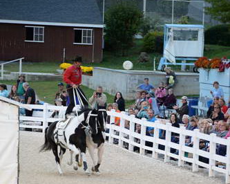 Dressage-at-Devon-9-27-13-5021-DDeRosaPhoto