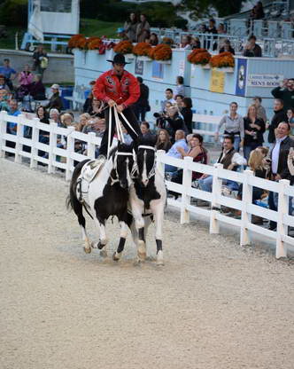 Dressage-at-Devon-9-27-13-5022-DDeRosaPhoto