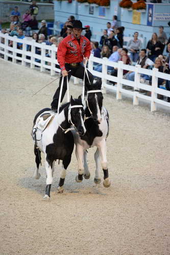 Dressage-at-Devon-9-27-13-5023-DDeRosaPhoto