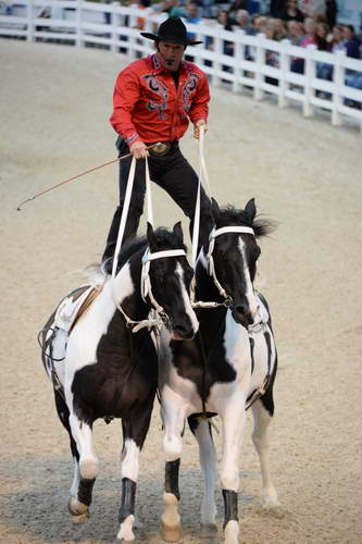 Dressage-at-Devon-9-27-13-5024-DDeRosaPhoto