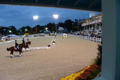 Dressage-at-Devon-9-27-13-5032-DDeRosaPhoto