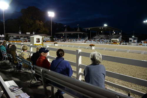 Dressage-at-Devon-9-27-13-5060-DDeRosaPhoto