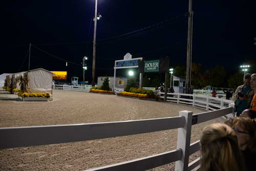 Dressage-at-Devon-9-27-13-5065-DDeRosaPhoto