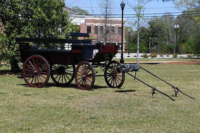 CAMDEN CARRIAGE-4-3-22-8062-DDeRosaPhoto