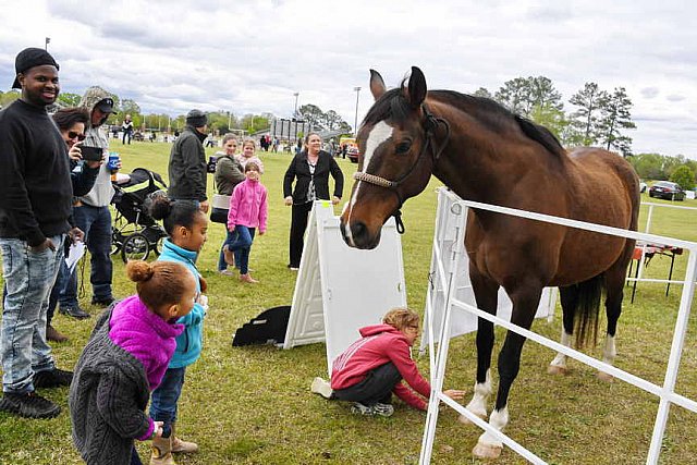 MARLEY'S ROUND UP-4-9-22-8167-DDeRosaPhoto