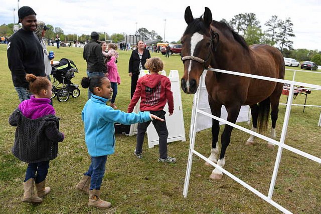 MARLEY'S ROUND UP-4-9-22-8169-DDeRosaPhoto