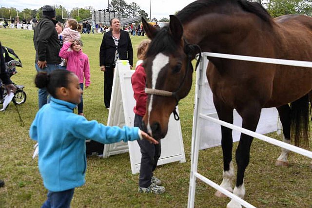 MARLEY'S ROUND UP-4-9-22-8171-DDeRosaPhoto