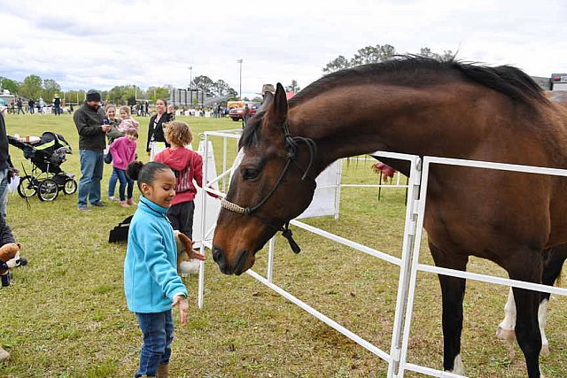 MARLEY'S ROUND UP-4-9-22-8177-DDeRosaPhoto