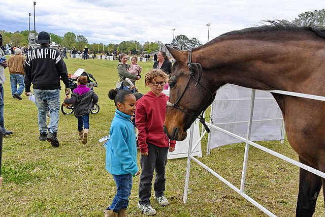 MARLEY'S ROUND UP-4-9-22-8183-DDeRosaPhoto