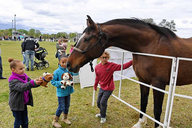 MARLEY'S ROUND UP-4-9-22-8188-DDeRosaPhoto