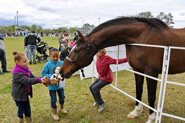 MARLEY'S ROUND UP-4-9-22-8189-DDeRosaPhoto