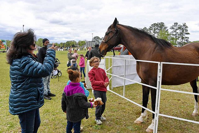 MARLEY'S ROUND UP-4-9-22-8199-DDeRosaPhoto