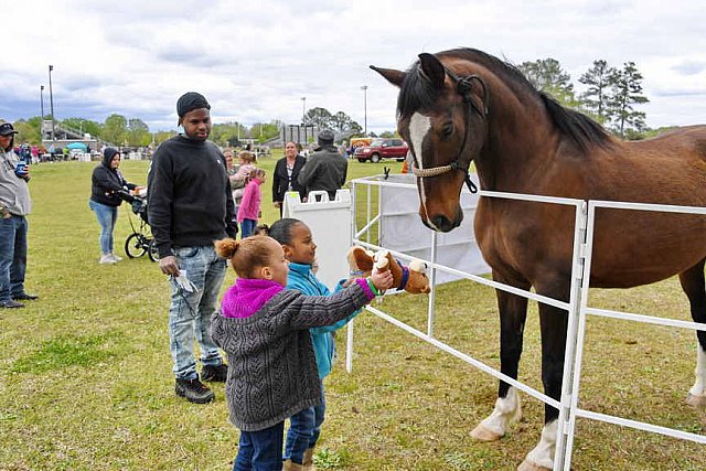 MARLEY'S ROUND UP-4-9-22-8203-DDeRosaPhoto