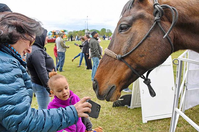 MARLEY'S ROUND UP-4-9-22-8223-DDeRosaPhoto