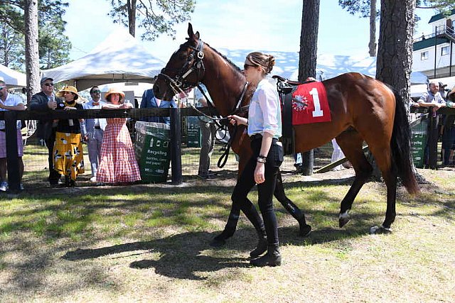 CAROLINA CUP-4-2-22-7130-DDeRosaPhoto