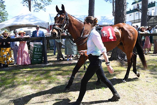 CAROLINA CUP-4-2-22-7153-DDeRosaPhoto