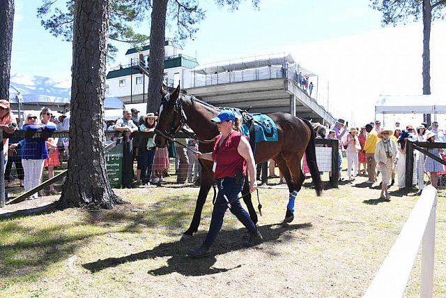 CAROLINA CUP-4-2-22-7168-DDeRosaPhoto