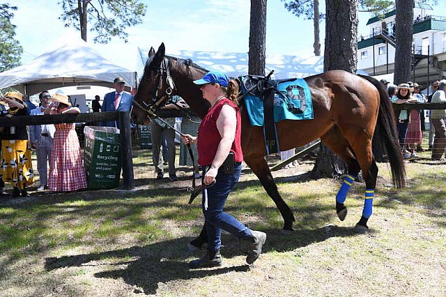 CAROLINA CUP-4-2-22-7169-DDeRosaPhoto