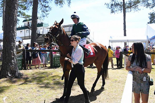 CAROLINA CUP-4-2-22-7179-DDeRosaPhoto