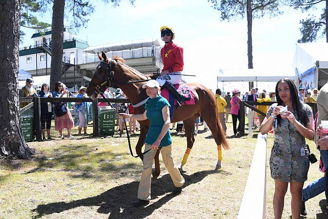 CAROLINA CUP-4-2-22-7193-DDeRosaPhoto