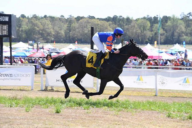 CAROLINA CUP-4-2-22-7292-DDeRosaPhoto