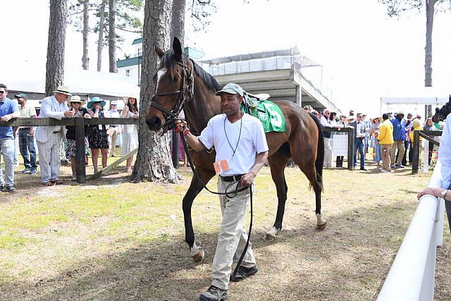 CAROLINA CUP-4-2-22-7359-DDeRosaPhoto