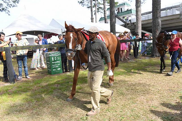 CAROLINA CUP-4-2-22-7851-DDeRosaPhoto