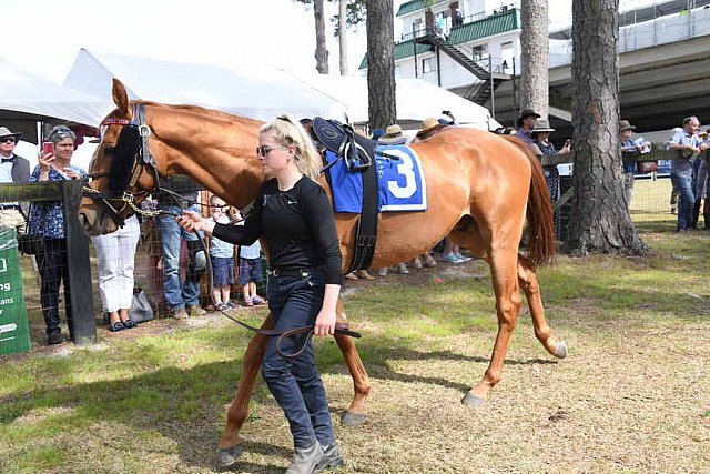 CAROLINA CUP-4-2-22-7871-DDeRosaPhoto