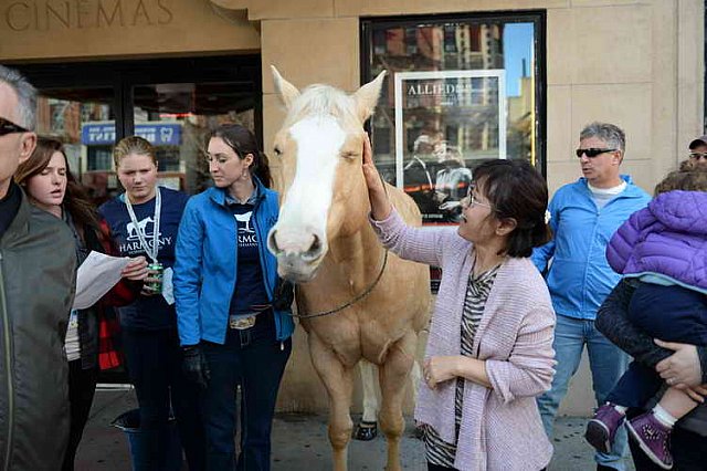 EQUUSFF-11-2016-8185--DDeRosaPhoto